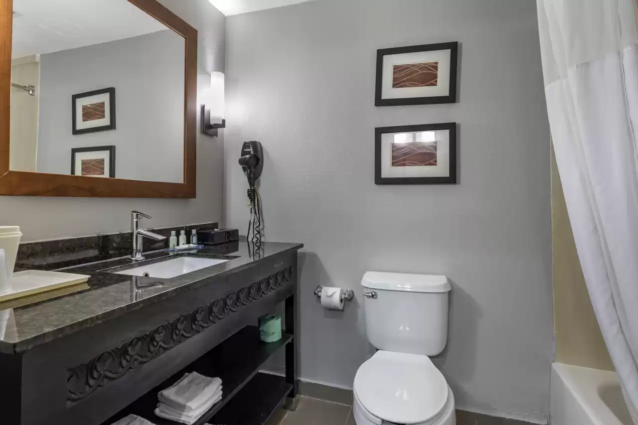Quality Inn & Suites I-35 E/Walnut Hill