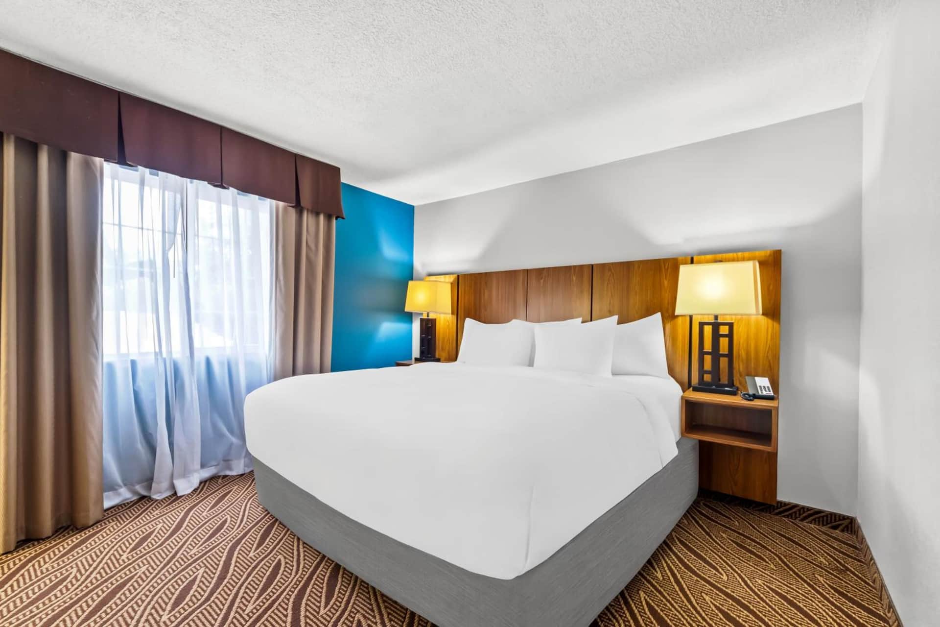 Quality Inn & Suites Airport North - Stone Oak